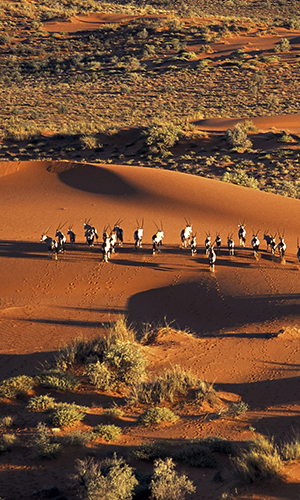 Etosha National Park